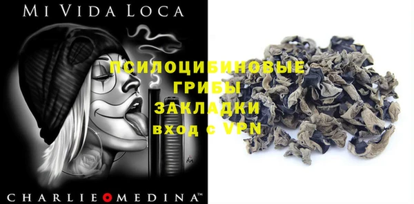 тгк Алзамай